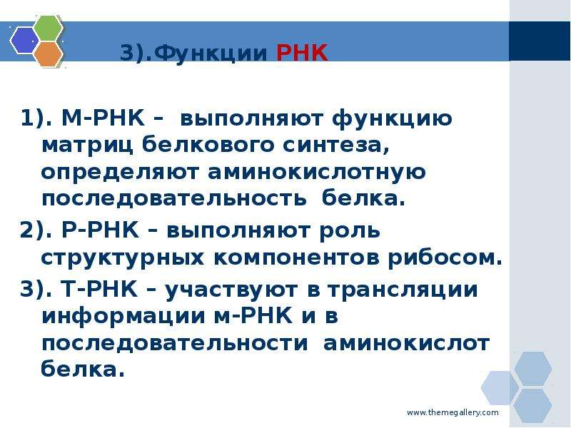 Основные функции рнк. М РНК функция. Р РНК функция. МРНК функции. Матричная РНК функция.