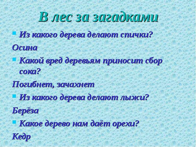 Из какого дерева делают спички. Пословицы и загадки о деревьях. Пословицы и загадки о лесе. Лесные загадки и поговорки. Забайкальские загадки.