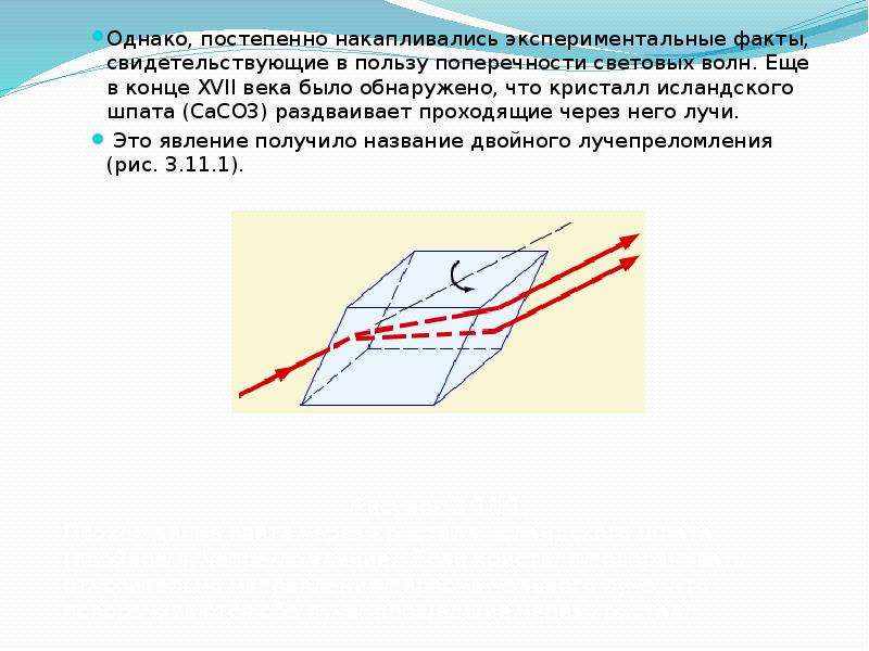 Поперечность световых волн поляризация света презентация 11 класс