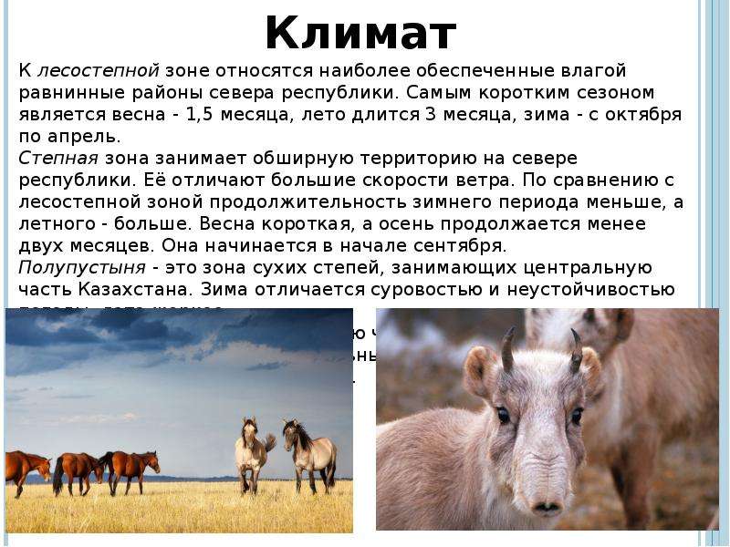 План сообщения о казахстане для 3 класса по окружающему миру