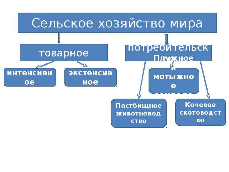 Составьте схему отраслевого состава сельского хозяйства