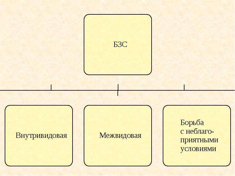 Формы борьбы за существование презентация