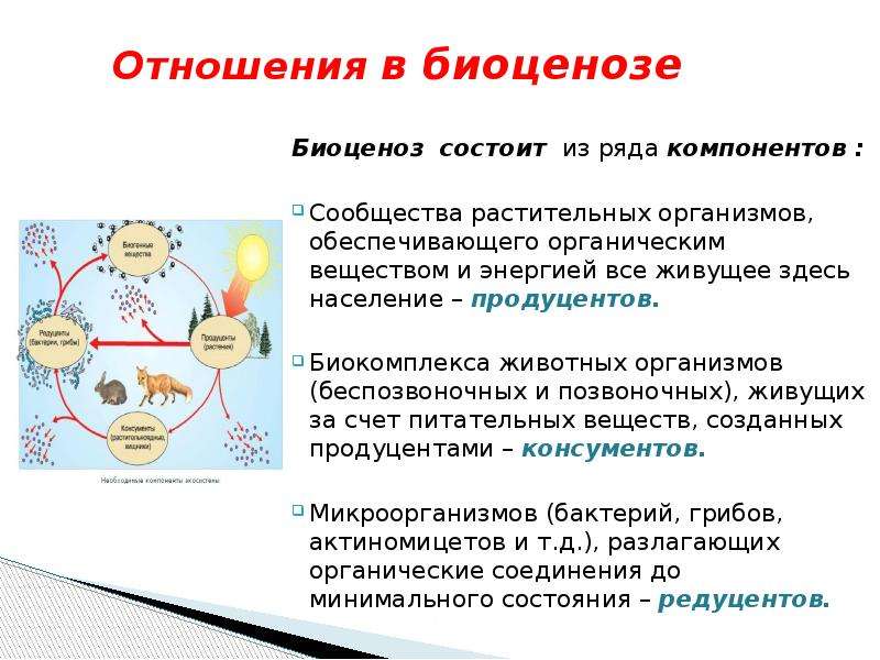 Презентация на тему биогеоценоз экосистема и биосфера