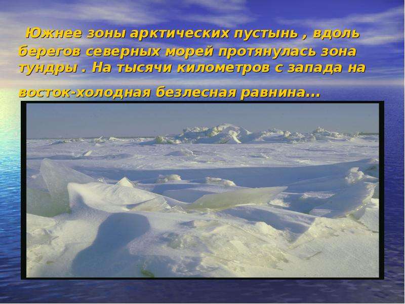 Презентация по географии 6 класс ледяные пустыни и тундры