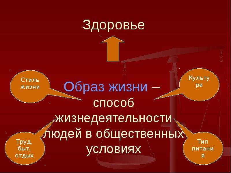 Категории Стиля Жизни