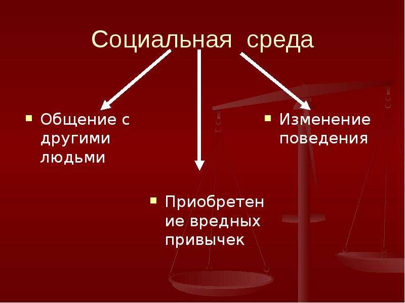 Среду состоящую из. Социальная среда. Среда общения человека. Среда общения человека группы. Виды социальной среды.