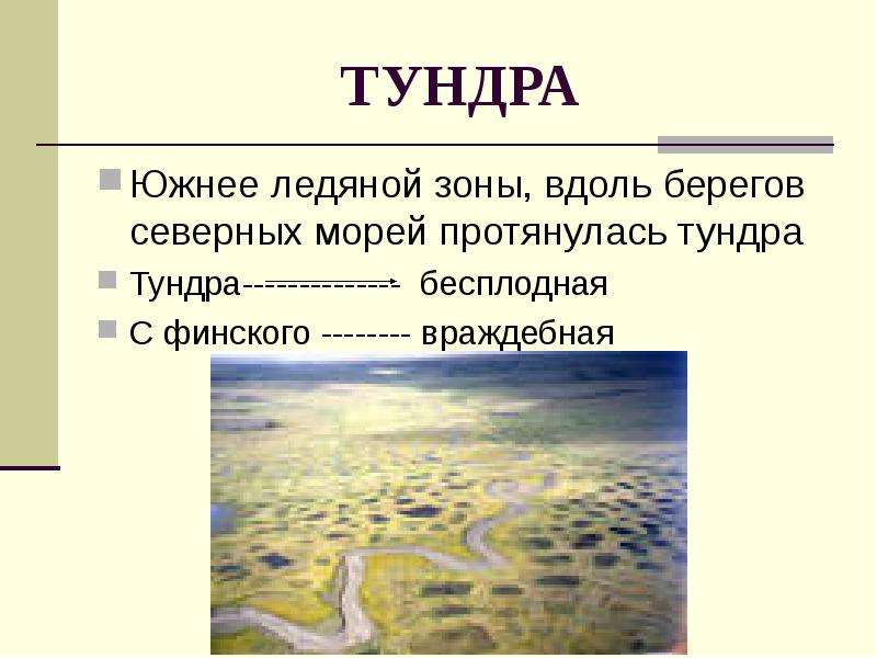 Эта природная зона протягивается вдоль северного побережья. Пересказ о тундре. Тундра кратко пересказ. Кластер по природной зоне тундра. Тундра с объяснением.