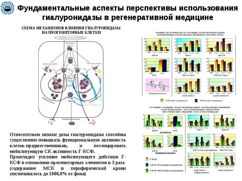 Регенеративная медицина презентация