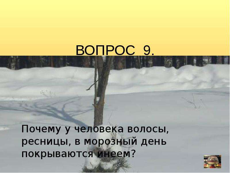 Отчего даже. Почему волосы покрываются инеем.