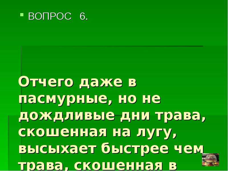 Расположиться неподалеку на нескошенной траве