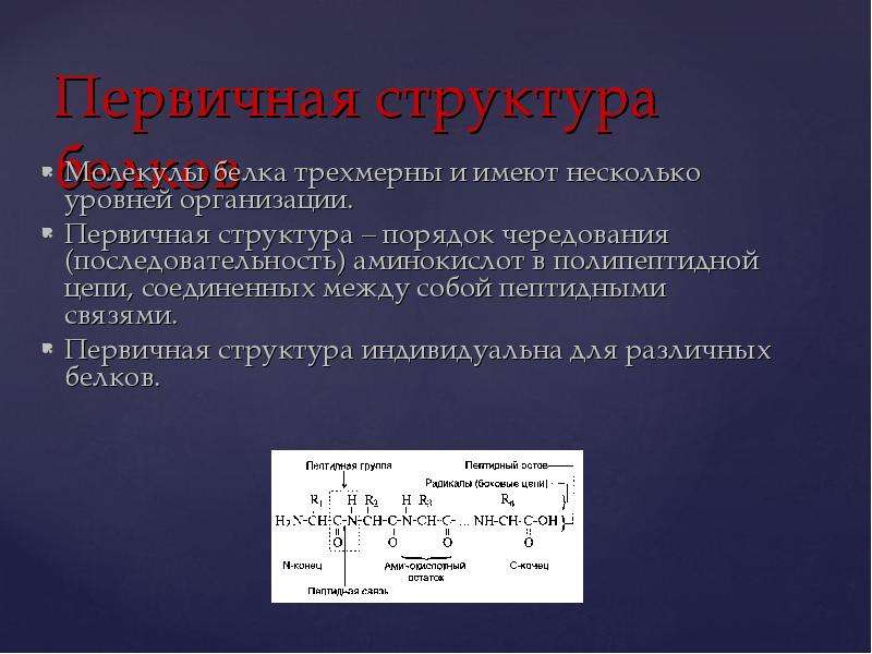 Методы определения первичной структуры белка. История изучения структуры белка. Белки первичной структуры примеры. Пептидная теория строения белков. Белки. Полипептидная теория строения белков..