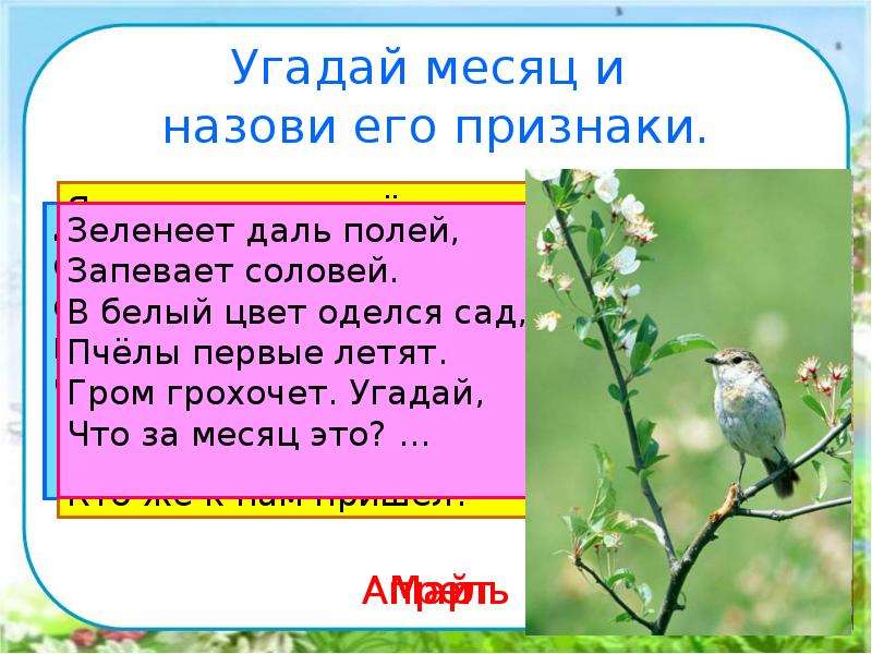 Презентация по окружающему миру 2 класс в гости к весне 2 класс