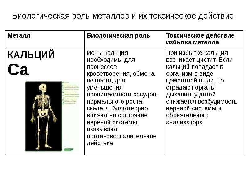 Биологическая роль металлов презентация