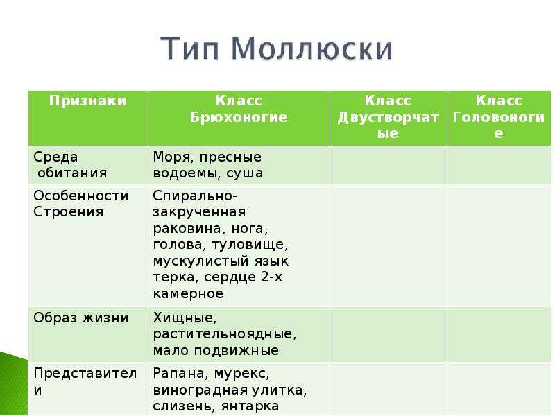 Значение моллюсков в природе и жизни человека. Значение в природе и для человека брюхоногих моллюсков таблица. Значение в природе и жизни человека головоногих моллюсков таблица. Значение моллюсков в природе и жизни человека таблица 7 класс. Значение в природе и жизни человека классговоногие.