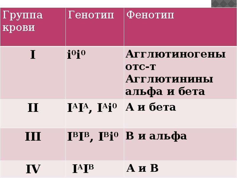 Генотип как понять