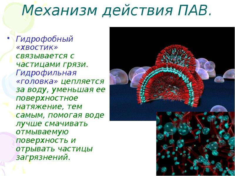 Пав картинки для презентации