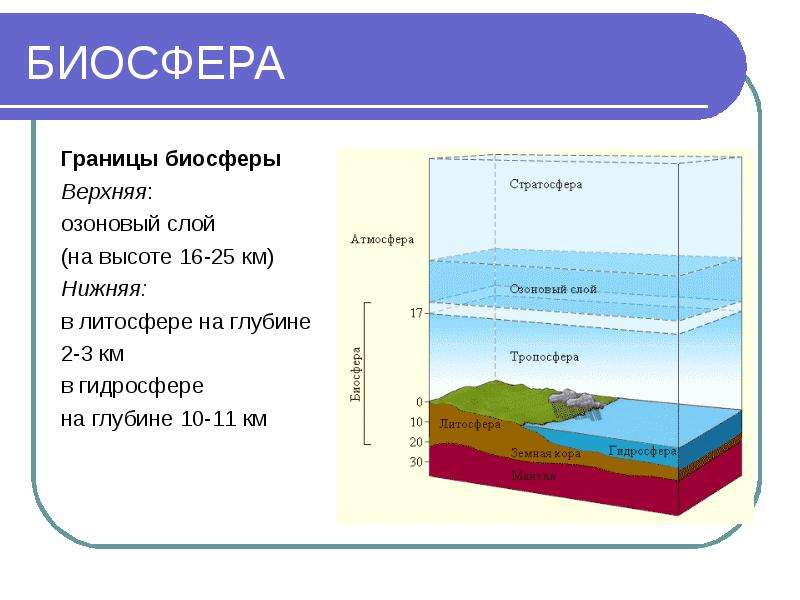 Нижняя граница атмосферы это. Границы биосферы атмосфера гидросфера литосфера. Границы биосферы в гидросфере. Нижняя граница биосферы. Верхняя граница биосферы.