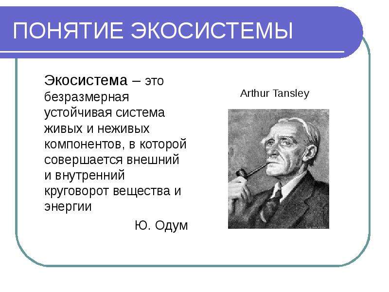 Автор термина система. Понятие экосистемы. Термин экосистема. Экосистема определение. Автор термина экосистема.