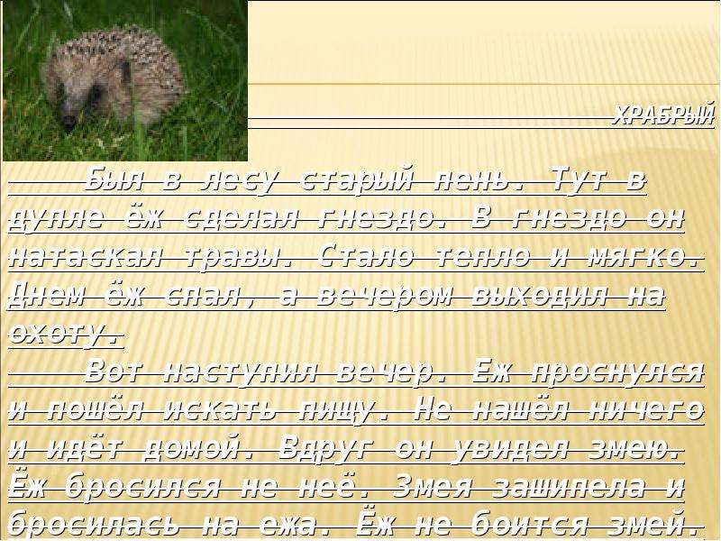 Д хармс храбрый еж н сладков лисица и еж с аксаков гнездо презентация 1 класс