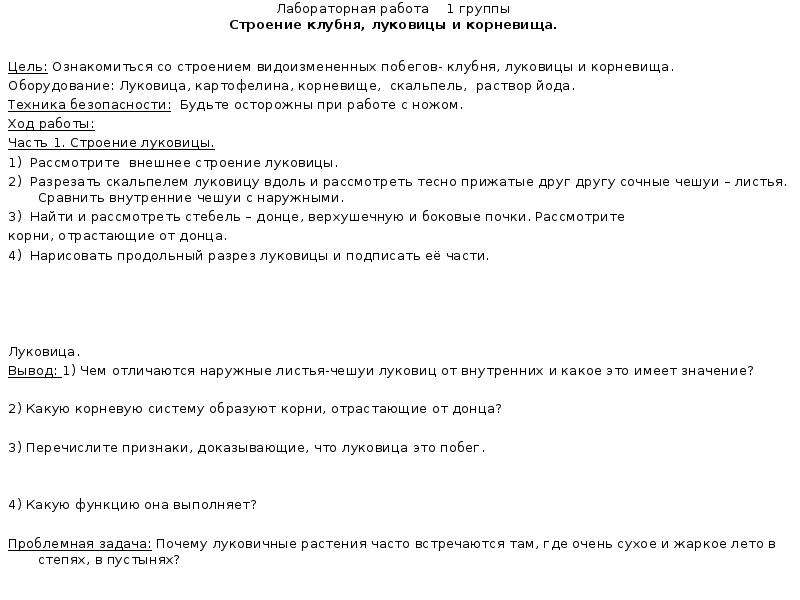 Лабораторная работа строение корневища 6 класс биология. Строение луковицы вывод. Лабораторная работа строение клубня и луковицы. Лабораторная по биологии строение луковицы. Лабораторная работа строение корневища.