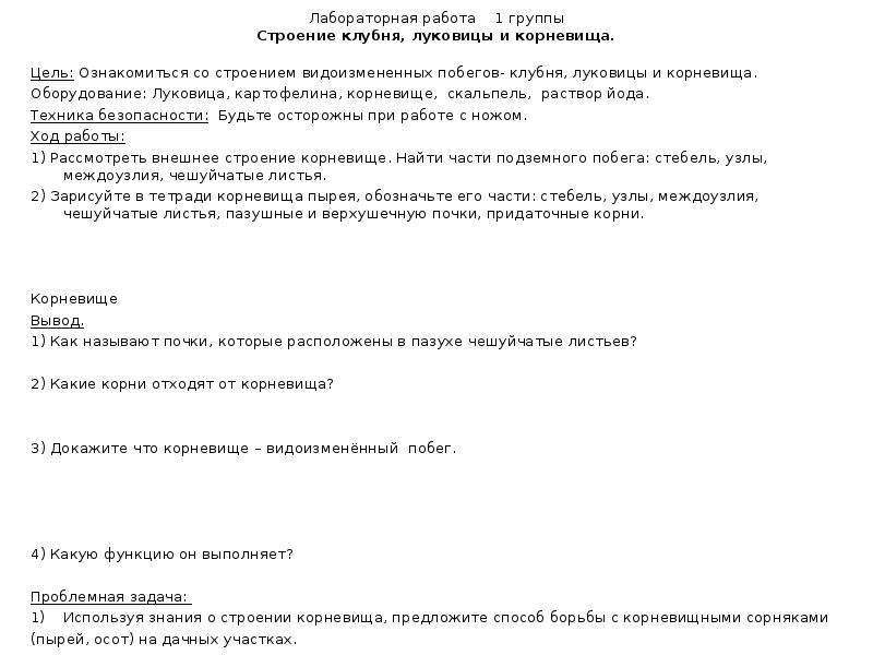 Лабораторная строение луковицы. Лабораторная работа строение корневища. Строение корневища клубня и луковицы лабораторная работа. Лабораторная работа строение клубня корневища. Лабораторная работа изучение строения корневища клубня и луковицы.