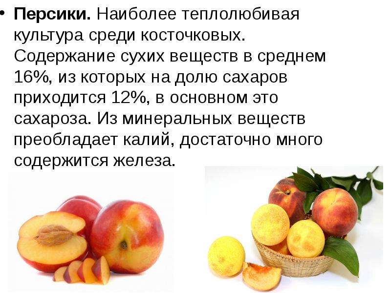 2 11 всех фруктов составляют персики сколько. Косточковые фрукты. Персик полезные вещества. Калий в персиках. Персик косточковая.