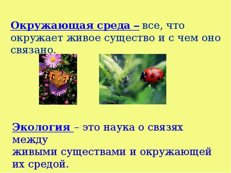 Когда приходит лето 1 класс окружающий мир презентация