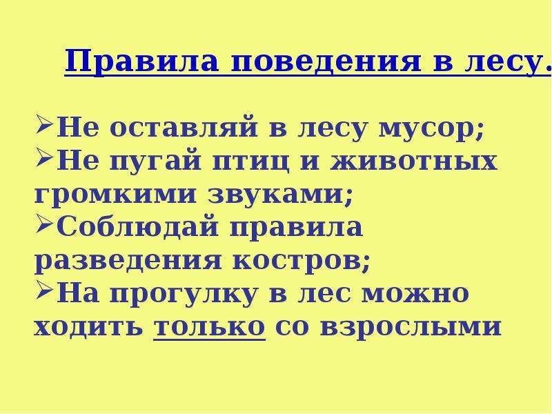 Презентация по окружающему миру впереди лето