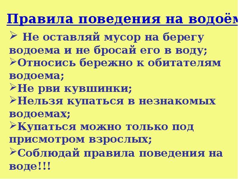 Урок окружающего мира 2 класс впереди лето с презентацией