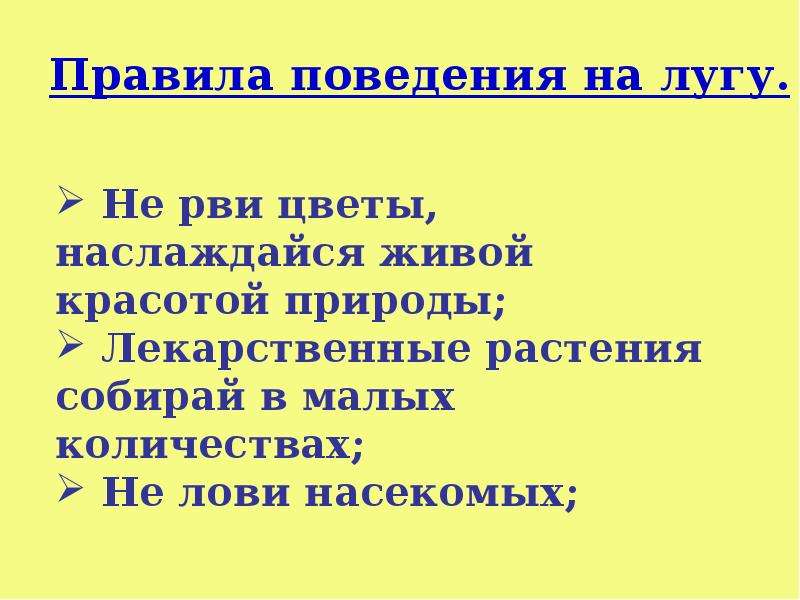 Презентация по окружающему миру впереди лето