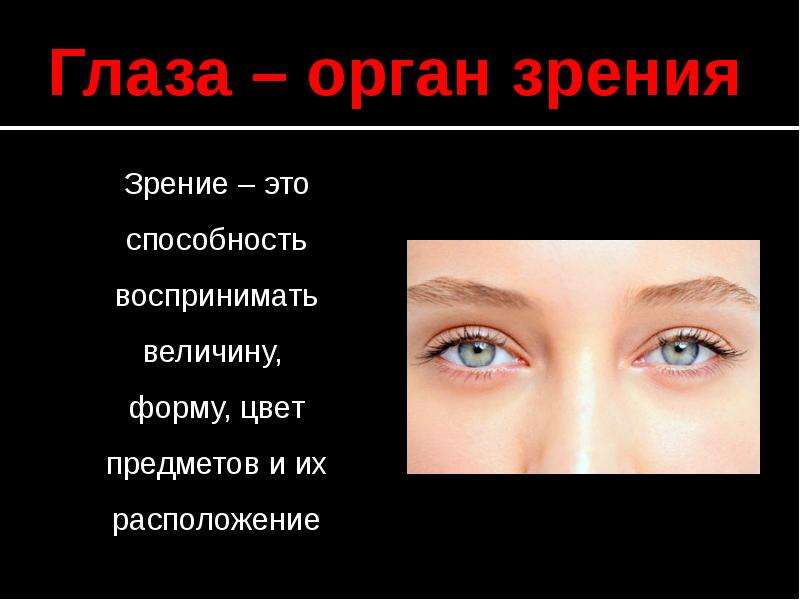 Определение глазки. Глаза орган зрения. Зрение орган чувств глаз. Название органа чувств глаза. Орган чувств зрение 3 класс.