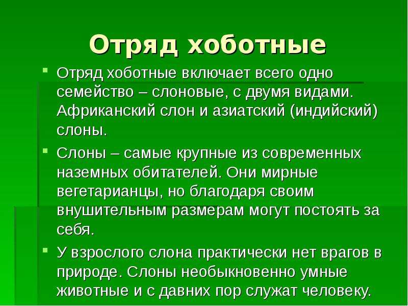 Особенности хоботных