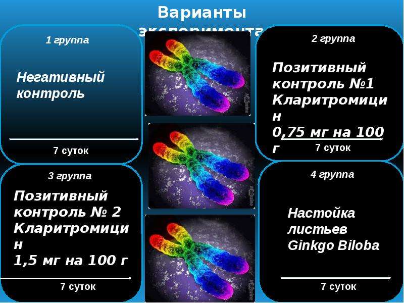 Мутагенная масса. Мутагенный эффект. Активирующий и мутагенный эффекты. Антимутагены примеры. МУТАГЕННОЕ действие акриловых красителей.