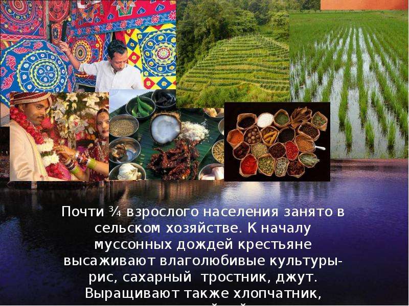 Индия презентация 7 класс география