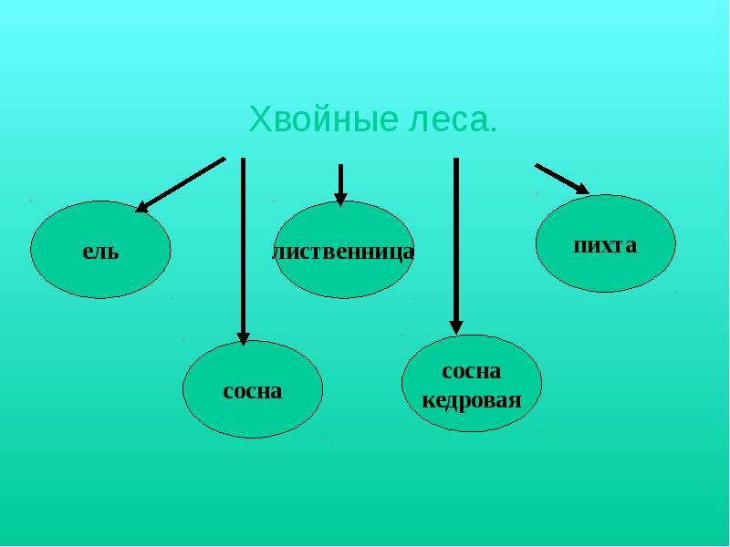 Зона лесов 4 класс. Занятия населения зоны лесов 4 класс. Зона лесов 4 класс окружающий мир занятие населения. Занятия людей в зоне лесов 4 класс окружающий мир. Население в зонах смешанных лесов 4 класс.