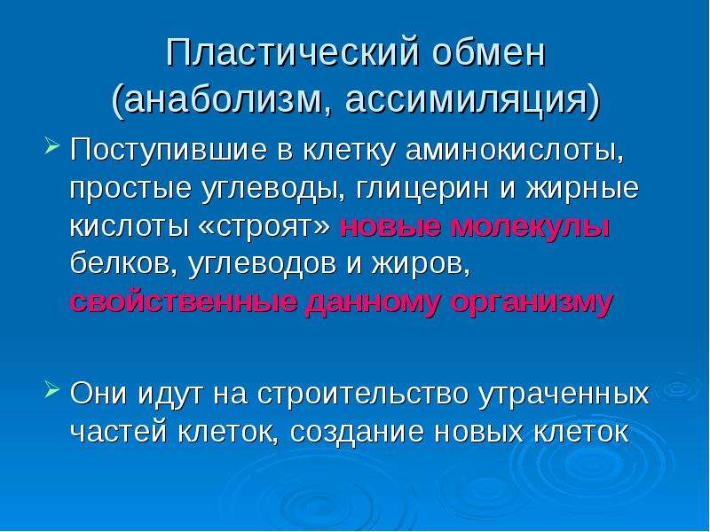 1 пластический обмен. Пластический обмен ассимиляция. Ассимиляция биология пластический обмен. Пластический обмен анаболизм Биосинтез белка. Что называют пластическим обменом в клетке.