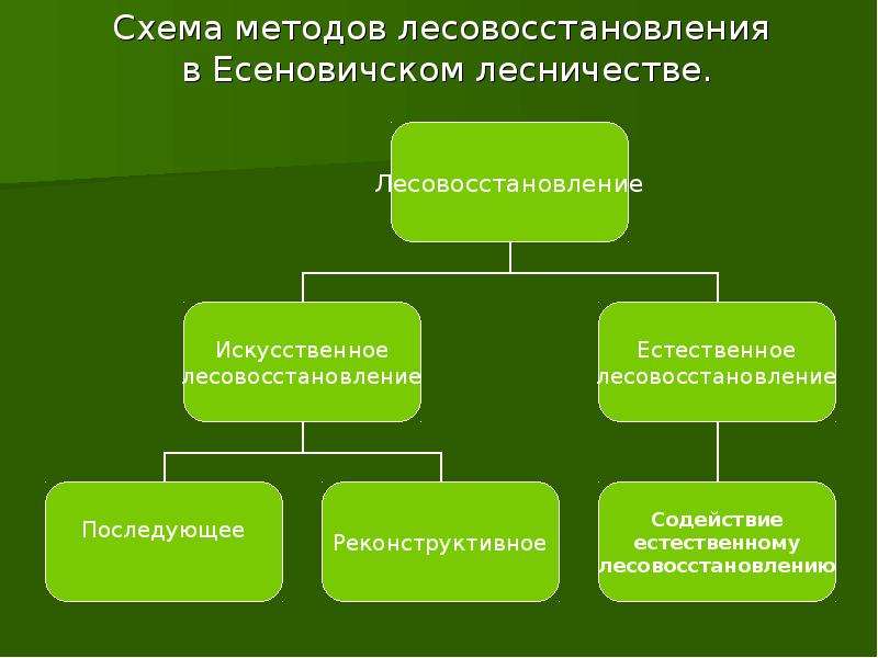 Правила лесовосстановления 1024. Схема метода лесовосстановления. Методы и способы лесовосстановления. Методы искусственного лесовосстановления. Искусственное лесовосстановление презентация.
