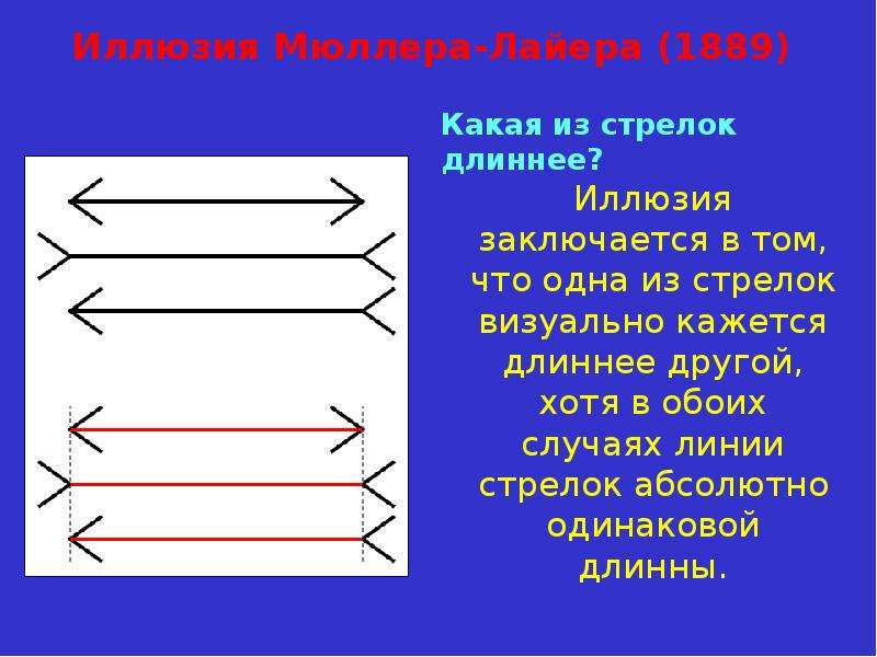 Зрительные иллюзии презентация. Иллюзия Франца Мюллера-Лайера. Оптическая иллюзия Мюллера-Лайера. Линии Мюллера Лайера. Иллюзия Мюллера Лайера стрелки.