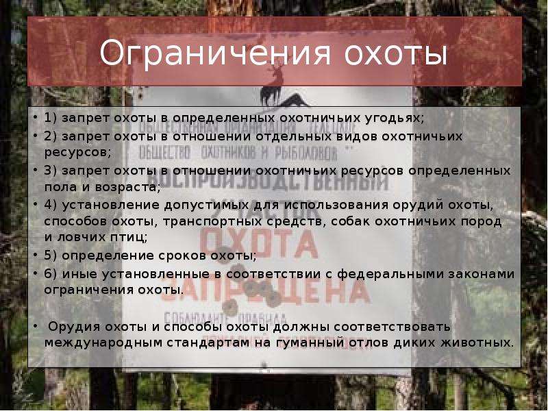 Ограничения не предусмотрены. Правовое регулирование охоты. Ограничение охоты. Запрещенные способы охоты. Охотничье законодательство.