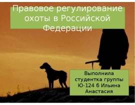 Правовое регулирование охоты в Российской Федерации Выполнила студентка группы Ю-124 б Ильина Анастасия