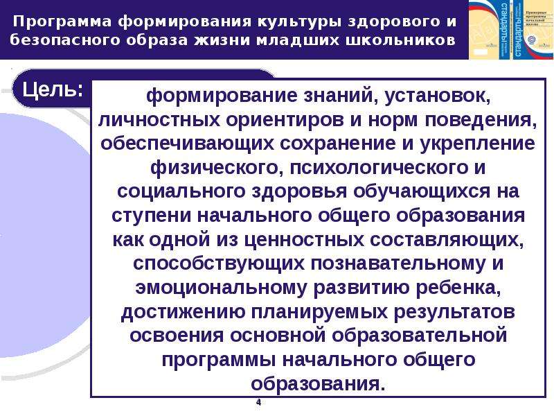 Культура здорового и безопасного образа жизни. Формирование культуры здорового и безопасного образа жизни. Формирование культуры здорового и безопасного образа жизни цель. Программа формирования здорового образа жизни школьников.