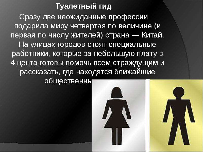 Гид по туалетам профессия