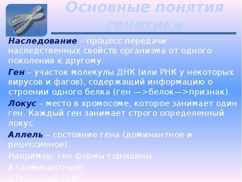 Основные понятия генетики презентация