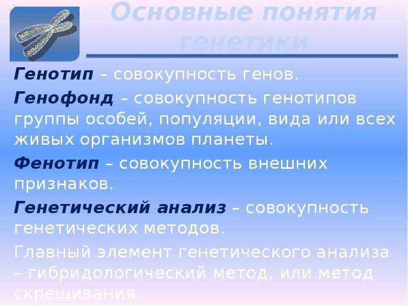 Генофонд это. Генотип фенотип генофонд. Геном генотип генофонд. Совокупность генов в популяции или вида. Понятие о генофонде.