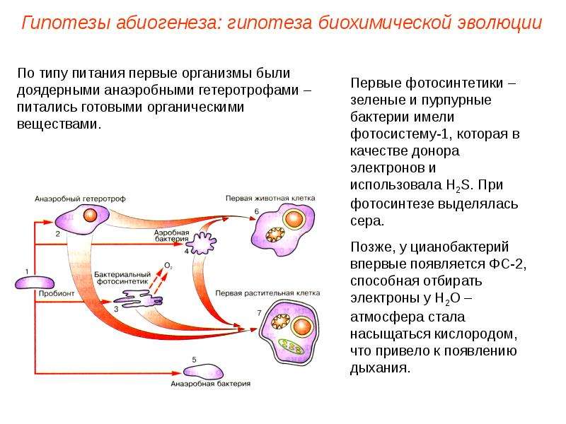 Презентация на тему гипотеза биохимической эволюции