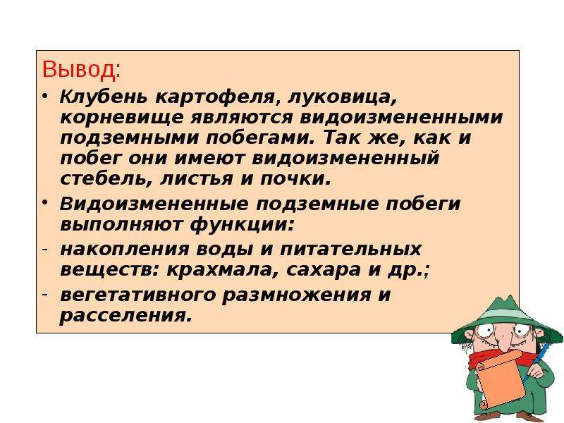 Как доказать что корневище луковицы это видоизмененные. Вывод клубень картофеля. Доказать что корневище клубень и луковица видоизмененные побеги. Видоизменённые побеги вывод. Клубень вывод.