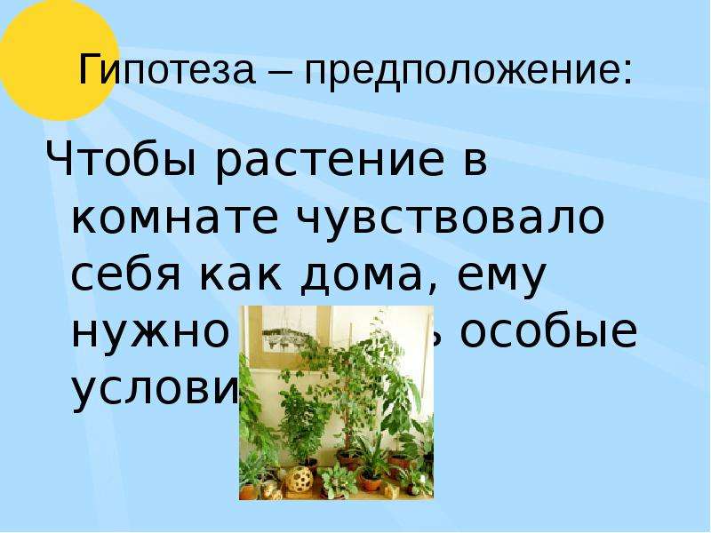 Во всем что наполняет комнату чувствуется нечто