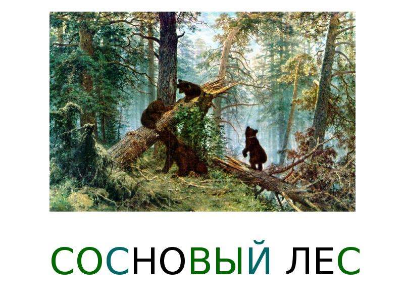 Сочинение 2 класс мишки в сосновом лесу презентация