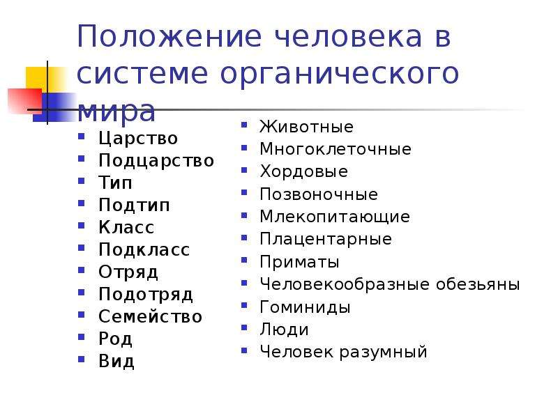 Схема классификации человека разумного