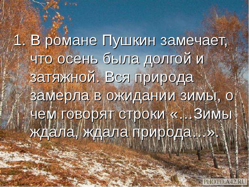 В тот год осенняя погода стояла долго. Зимы ждала ждала природа. Зимы ждала ждала природа Пушкин. Зимы зимы ждала природа Пушкин. Стих Пушкина зимы ждала ждала природа.